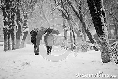 Snowing landscape in the park with people passing by Stock Photo