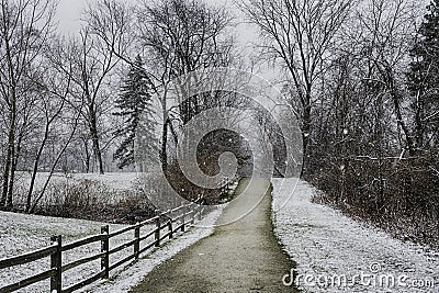 Snowing in Ohio Stock Photo