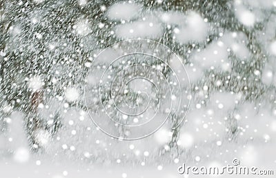 Snowing or snowfall Stock Photo