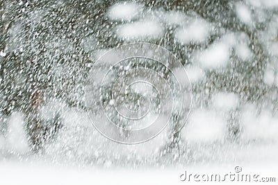 Snowing or snowfall Stock Photo