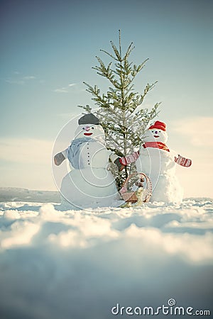 Snowman couple with green fir tree. Christmas or xmas decoration toy in basket. Stock Photo