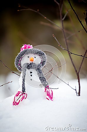 Snowman Stock Photo