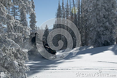 Snowmobile riding coming between trees creating powder Stock Photo