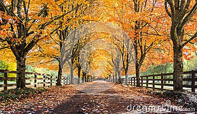 Snowqualmie Fall Colors Stock Photo