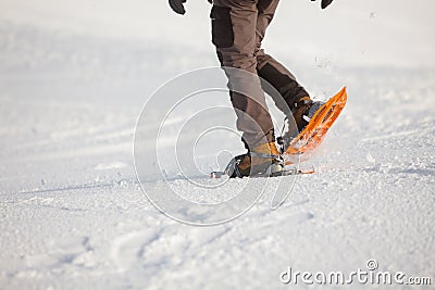 Snowshoeing in Carpathian mountains in wintertime Stock Photo