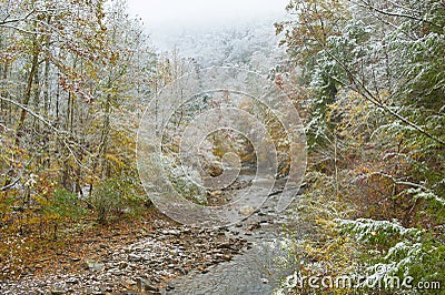 Snowstorm in autumn, Smoky Mtn. N.P. Stock Photo