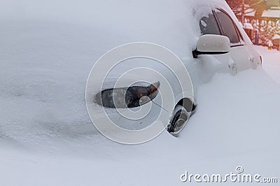 Snowstorm blizzard in Toronto, North America, that causes public transportation disruptions, traffic delays, emergency Stock Photo