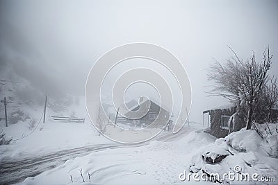 snowstorm with blizzard winds and blinding snowfall, bringing chaos to the mountain Stock Photo