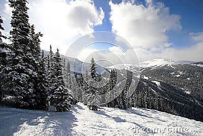 Snowy Alpine Forest Stock Photo