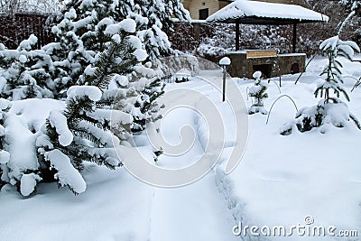Snowy Backyard Patio.Winter Landscape with barbeque area, snowbanks of white snow, pine trees in country garden. Stock Photo