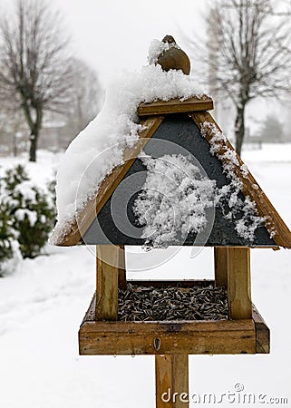 snowy bird feeder with seeds, Bird feeder in the winter snowy garden, Winter time. Winter Stock Photo