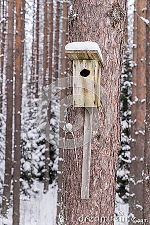 Snowy bird house on a pine tree. Wooden aviary of timber. Nest box in the forest, Stock Photo