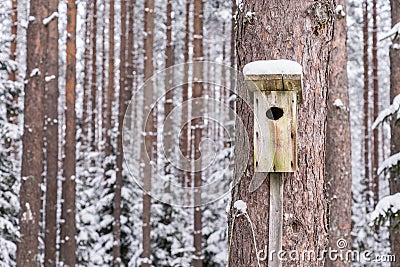 Snowy bird house on a pine tree. Wooden aviary of timber. Nest box in the forest, Stock Photo