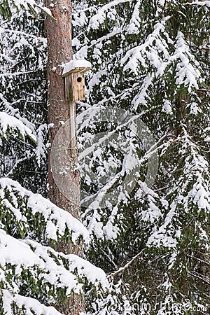 Snowy bird house on a pine tree. Wooden aviary of timber. Nest box in the forest, Stock Photo