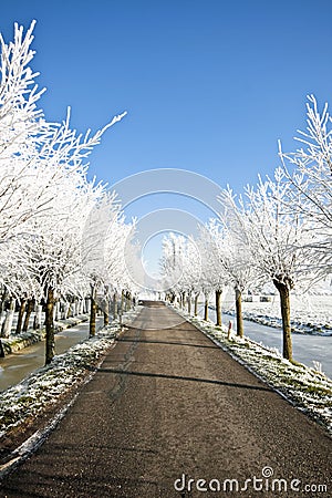 Snowy countryroad, in the Netherlands Stock Photo