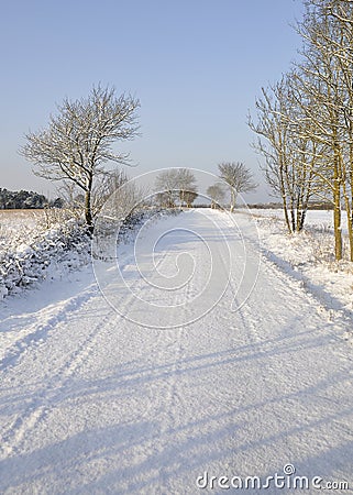 Snowy countryside road and trees Stock Photo