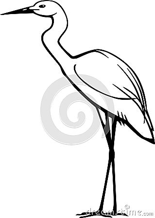 Snowy Egret Vector Illustration