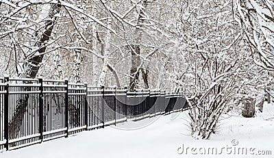 Snowy fence Stock Photo