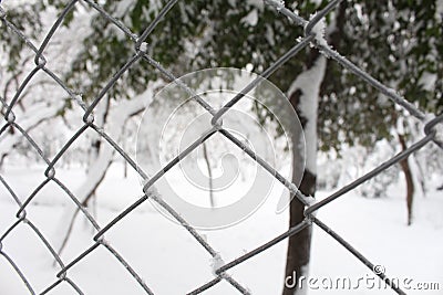 Snowy Fence Stock Photo