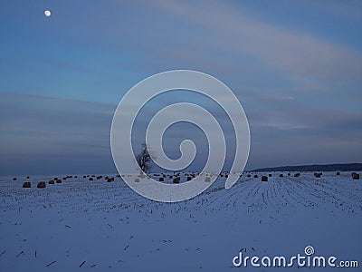 Snowy field with bales of hay and a lone tree at dusk with moon in the sky Stock Photo