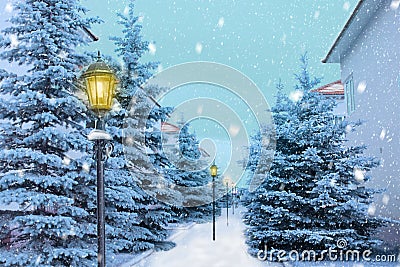 Snowy fir trees, houses, alley and lanterns. Snowing. Dust. Winter, Christmas, New year card Stock Photo