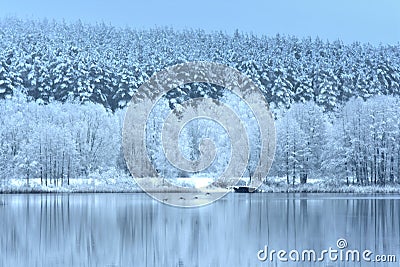 Winter season in Europe .Snowy forest by the lake. Stock Photo