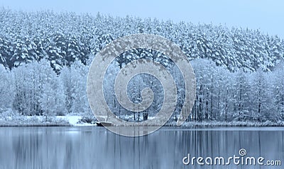 Snowy forest by the lake. Misty winter panorama. Stock Photo