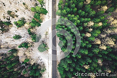 Snowy forest with a road captured from above with a drone Stock Photo
