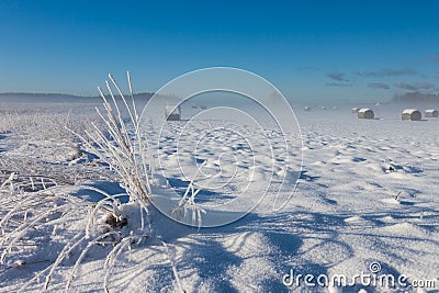 Snowy hay bales near farm Stock Photo