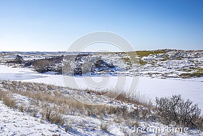 Snowy and ice winter landscape at the Amsterdamse Waterleidingduinen Stock Photo