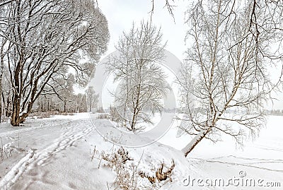 Snowy January morning in Nevsky forest Park. The Bank of the riv Stock Photo