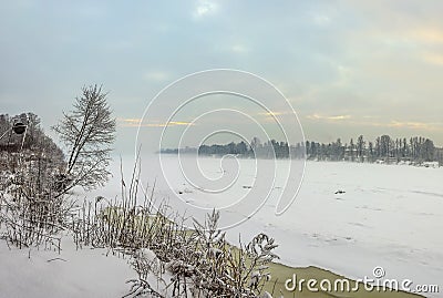 Snowy January morning in Nevsky forest Park. The Bank of the riv Stock Photo