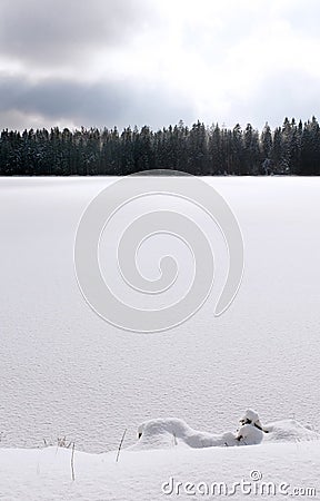 Snowy lake in winter Stock Photo