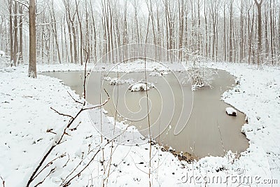 Snowy Landscape and Iced Water Point Stock Photo