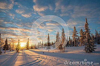 Snowy landscape at sunset, frozen trees in winter in Saariselka, Lapland Finland Stock Photo