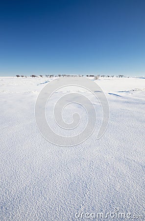 Snowy Landscape with trees on the Horizon Stock Photo