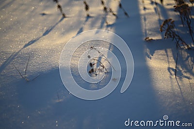 Snowy landscapes and snow close-up in sunbeams. Grass and objects in the snow Stock Photo