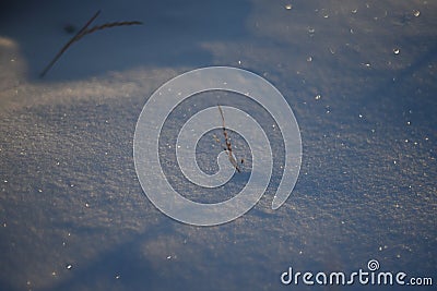 Snowy landscapes and snow close-up in sunbeams. Grass and objects in the snow Stock Photo