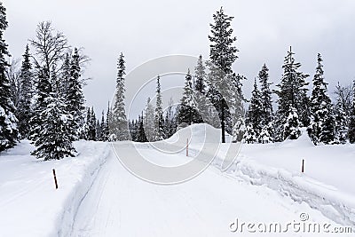 Snowy motor road Stock Photo