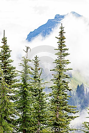 snowy mountain peeks near foggy valley and forest Stock Photo