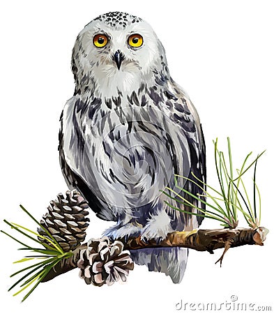 Snowy owl sitting on a branch Stock Photo