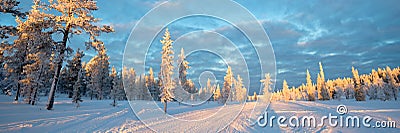 Snowy panoramic landscape, frozen trees in winter in Saariselka, Lapland Finland Stock Photo
