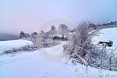 Snowy trees and path through the fields Stock Photo