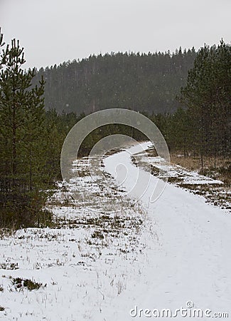 Snowy path. Snow storm. Stock Photo