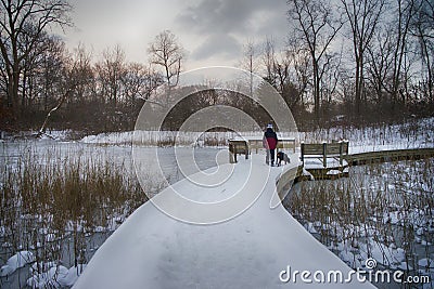 Snowy path on a winter day, Ontario provincial park, canada. Editorial Stock Photo