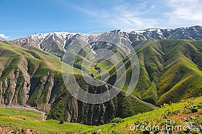 Snowy peaks and green valleys of the Western Tian Shan mountains, Uzbekistan Stock Photo