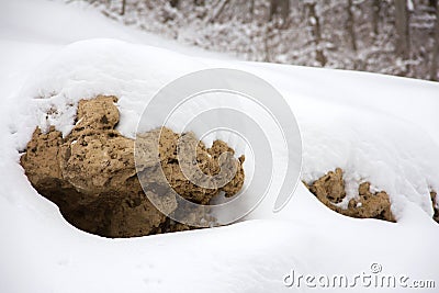 Snowy perch Stock Photo