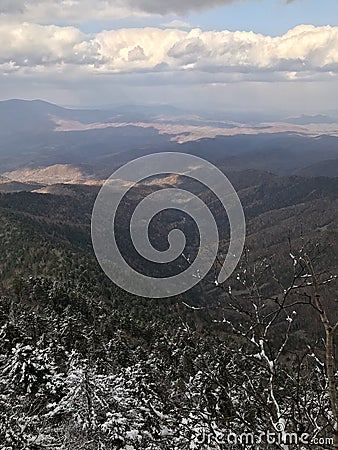 Snowy pine forest of mountain Falaza. Stock Photo