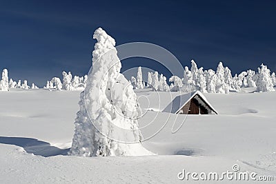 Snowy Plain with a Snowbound Hut Stock Photo