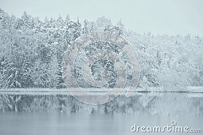 Snowy reflections first winter day 2017-12 -01 Stock Photo